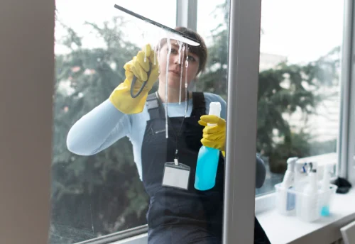 Nettoyage de vitres intérieures et extérieures à Prompsat